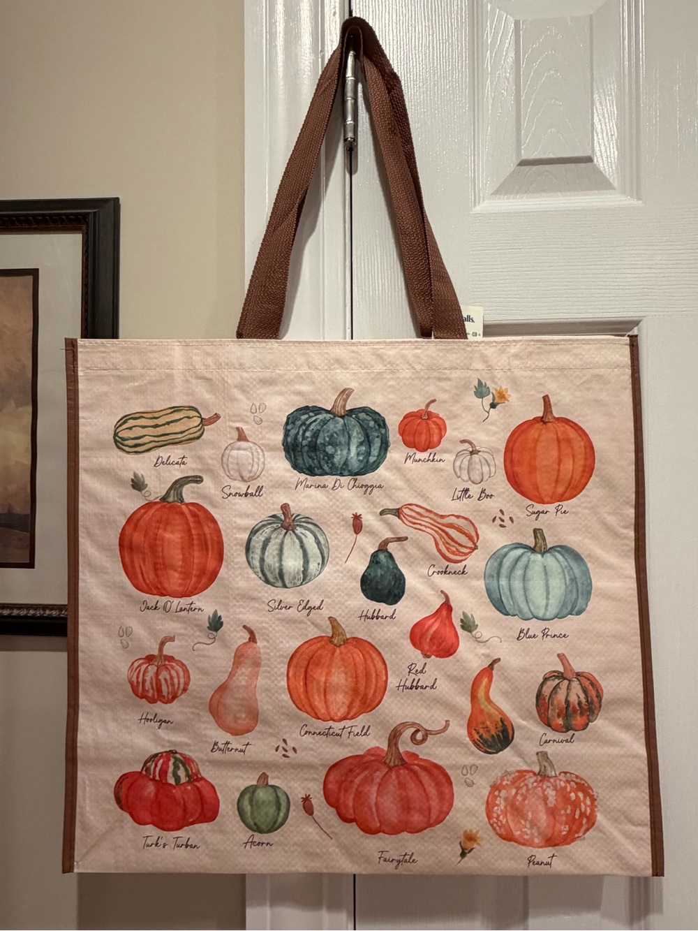Marshalls/ TJ Maxx Pumpkin Print Reusable Tote Bag 🎃🛍️